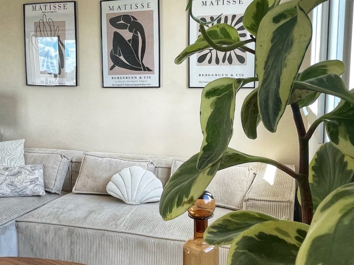 Intérieur d'un salon avec canapé clair, plantes et affiches artistiques au mur.